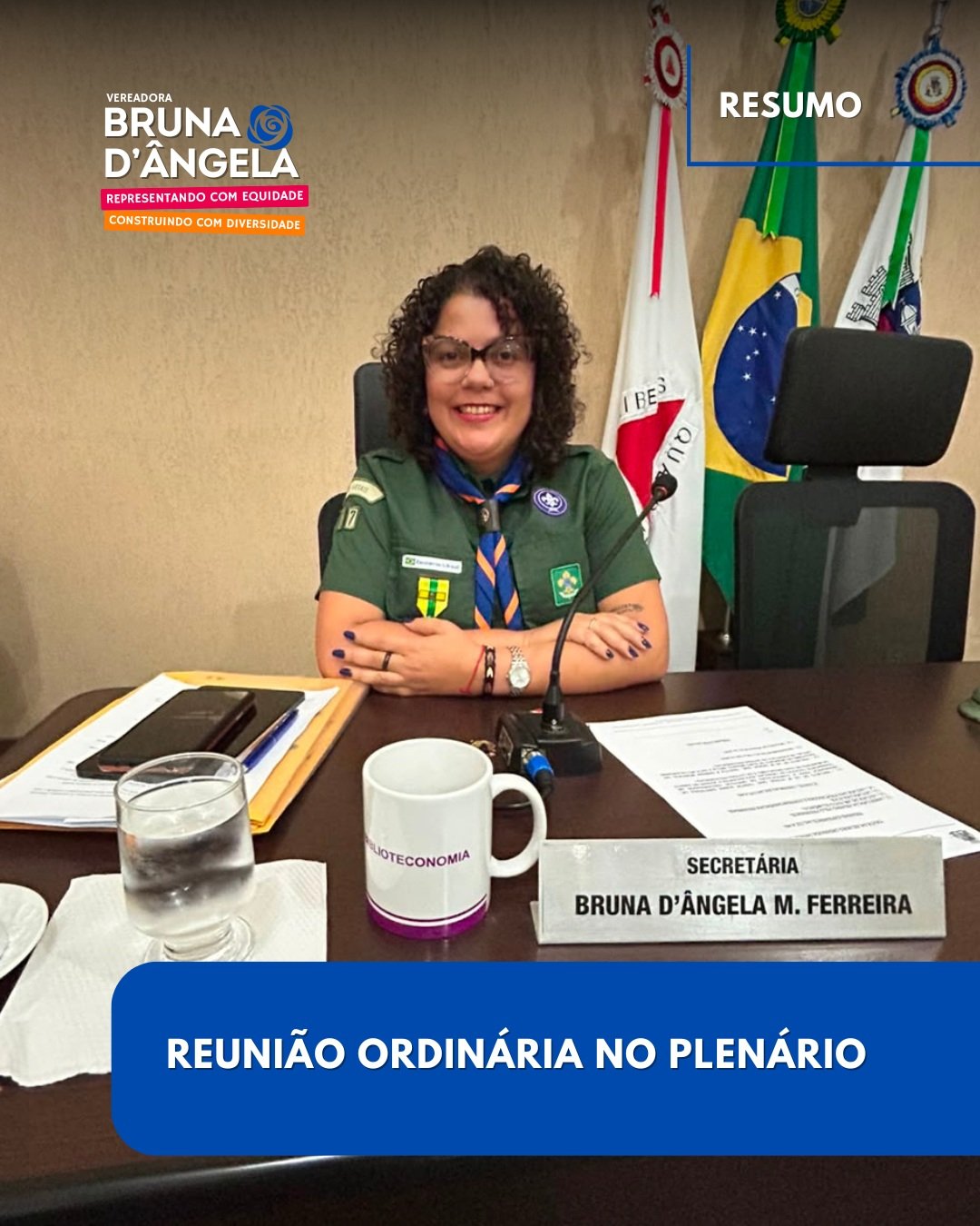 Resumo da reunião ordinária no plenário